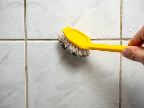 Best Commercial Mold Removal  in Mena, AR